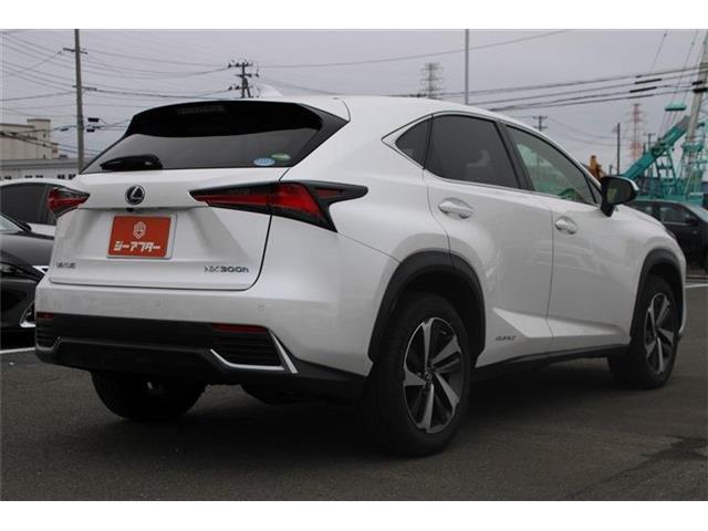 Lexus NX 11