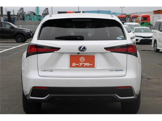 Lexus NX 12