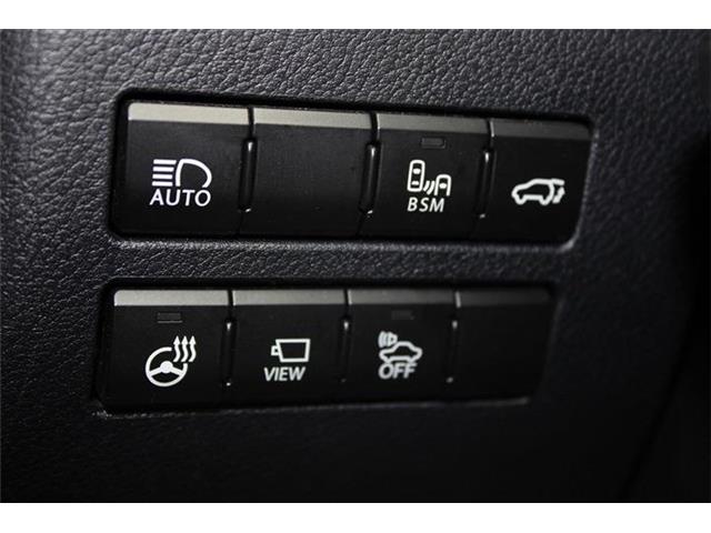 Lexus NX 4
