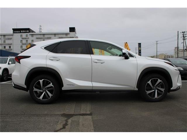 Lexus NX 10