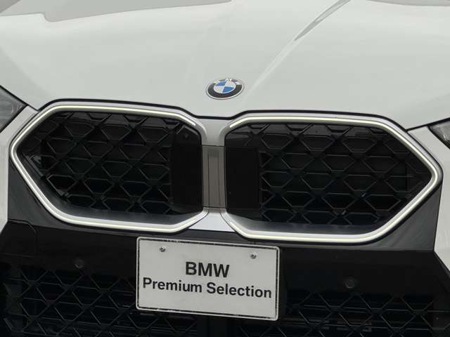 BMW X2 10
