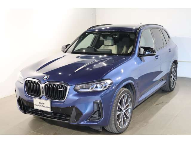 BMW X3 8