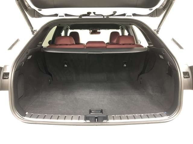 Lexus RX 12