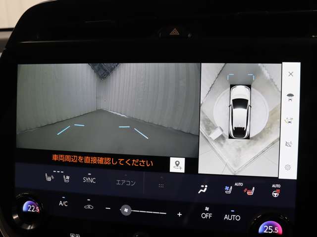 Lexus RZ 11