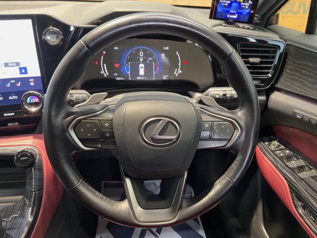 Lexus NX 11