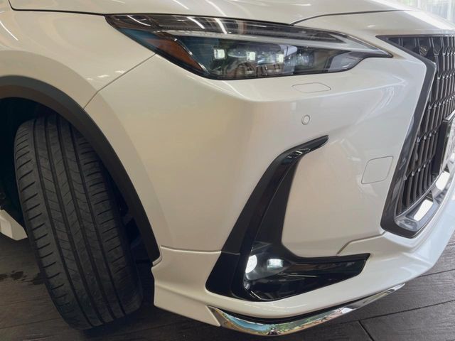 Lexus NX 12
