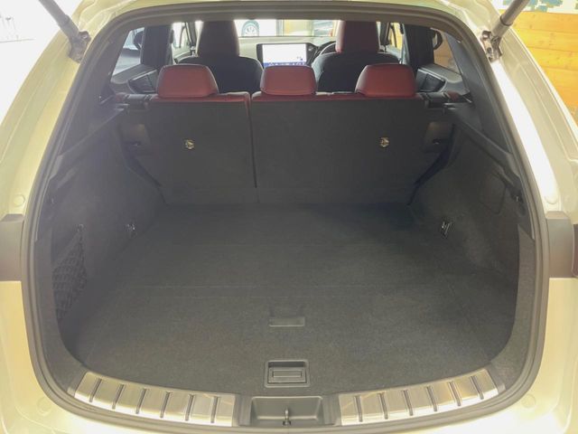 Lexus NX 10
