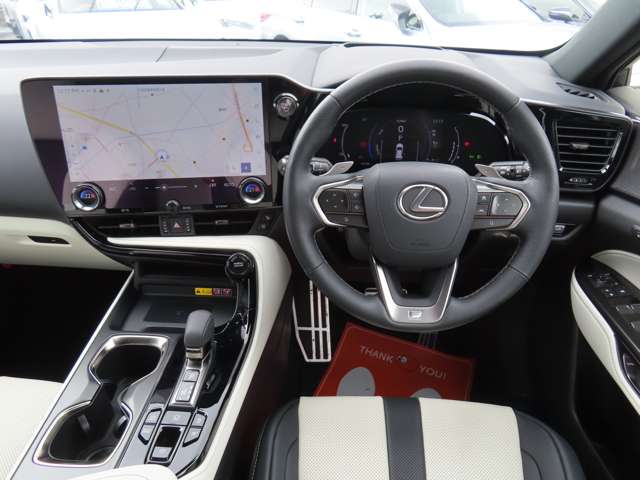 Lexus NX 11