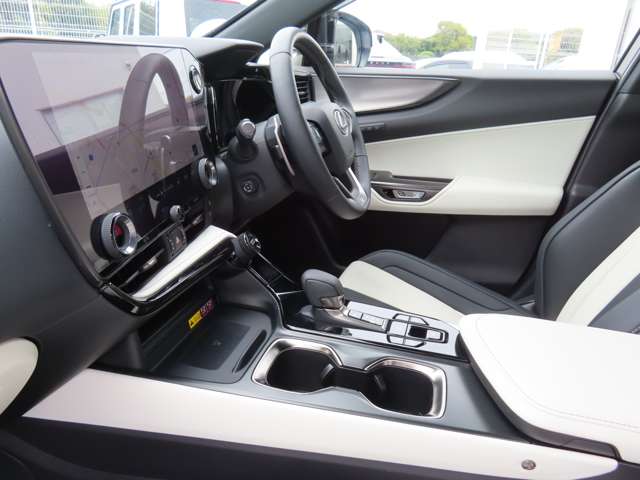 Lexus NX 12