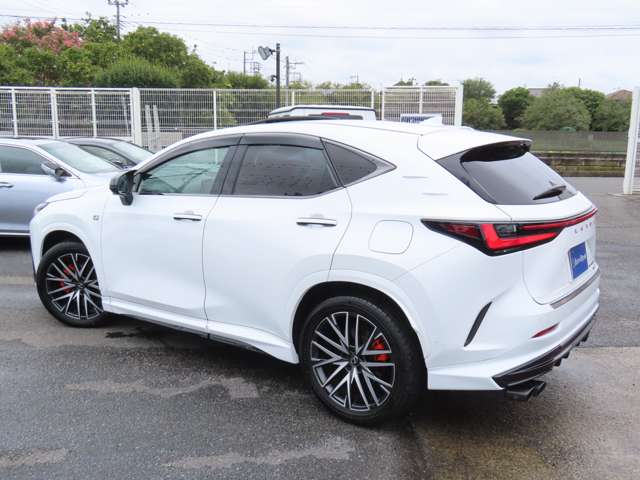 Lexus NX 8