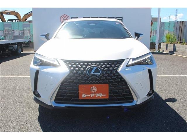 Lexus UX 12