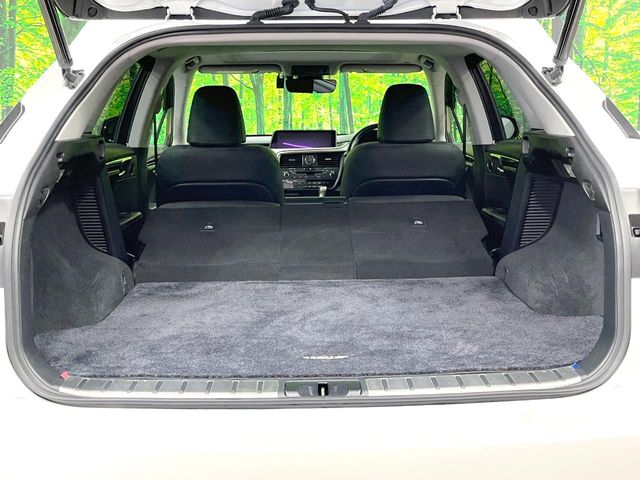 Lexus RX 11
