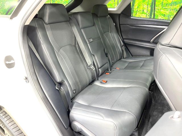 Lexus RX 10
