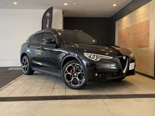 Alfa Romeo Stelvio 12