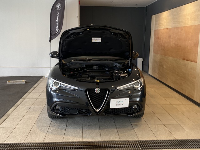 Alfa Romeo Stelvio 2