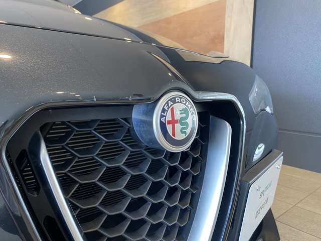 Alfa Romeo Stelvio 9