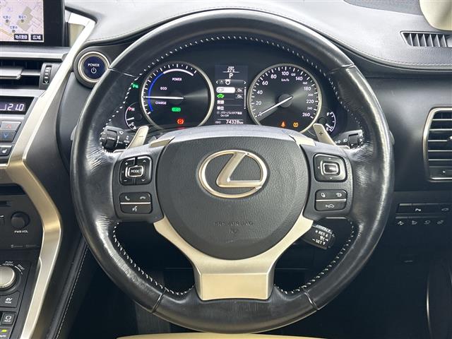 Lexus NX 4