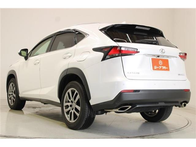 Lexus NX 11