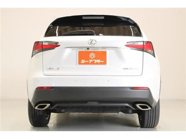 Lexus NX 12