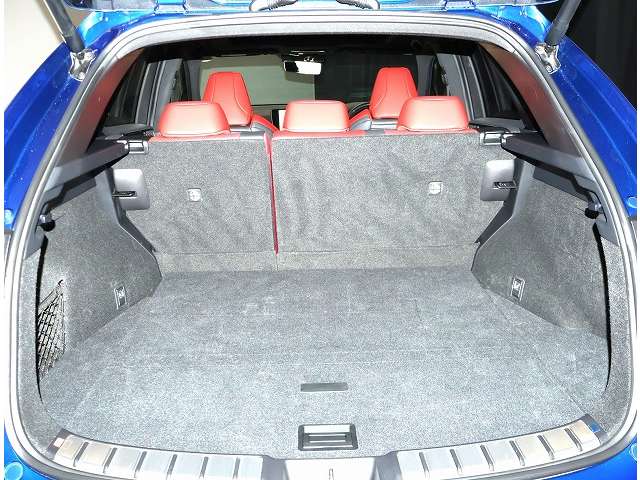 Lexus NX 12