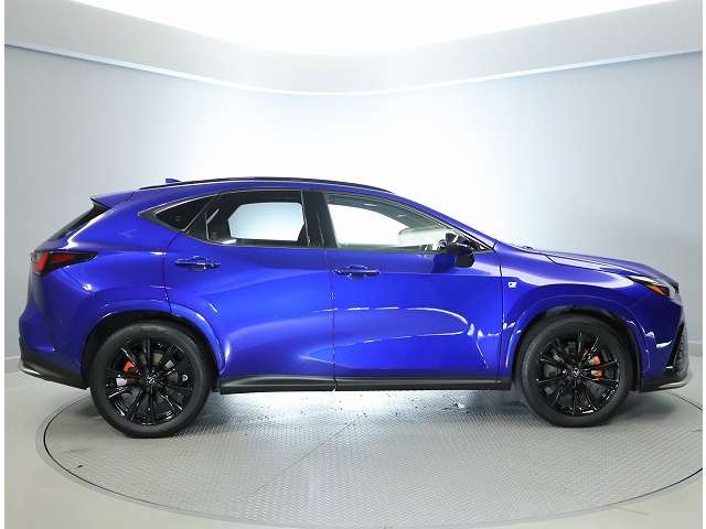 Lexus NX 4