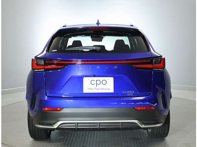 Lexus NX 6