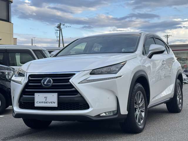 Lexus NX 12