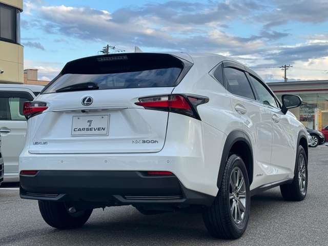 Lexus NX 8