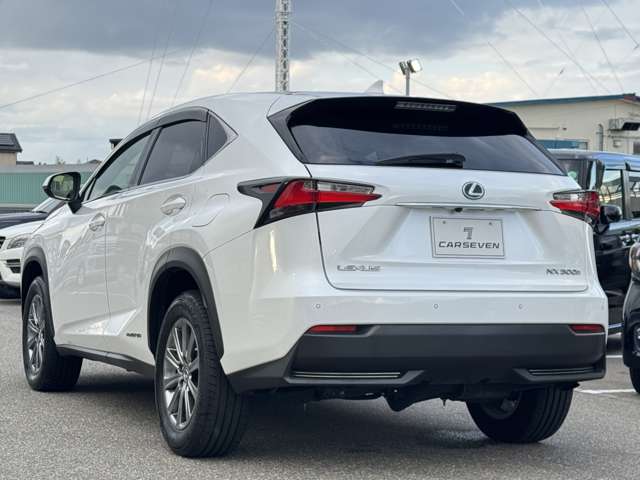 Lexus NX 10