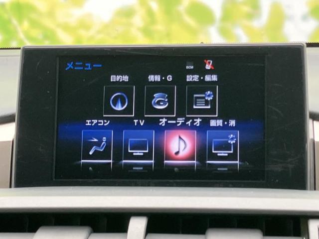 Lexus NX 12