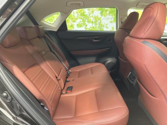 Lexus NX 7
