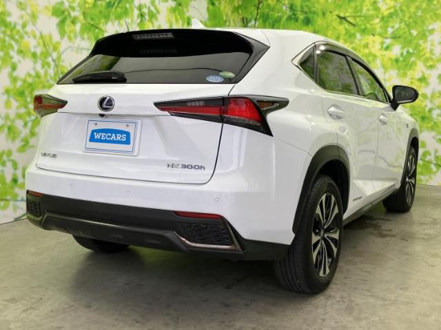 Lexus NX 6