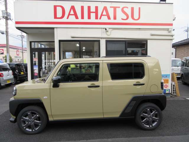 Daihatsu Taft 8