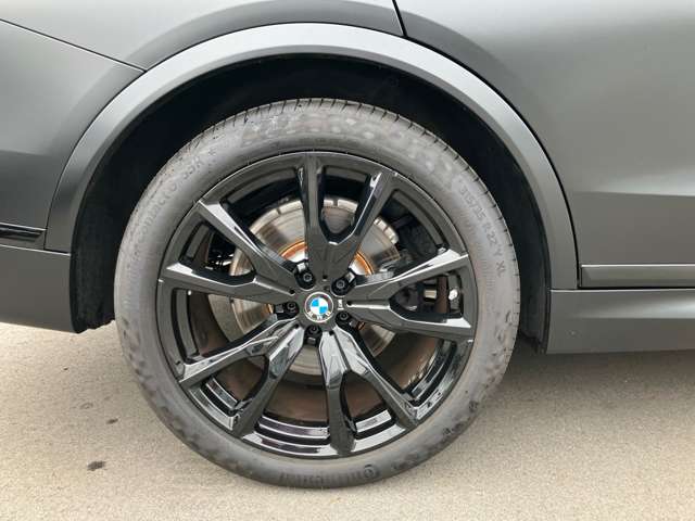 BMW X7 10