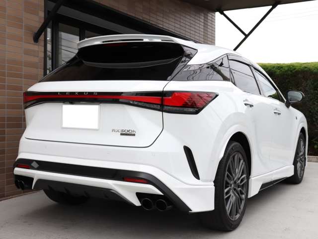 Lexus RX 11