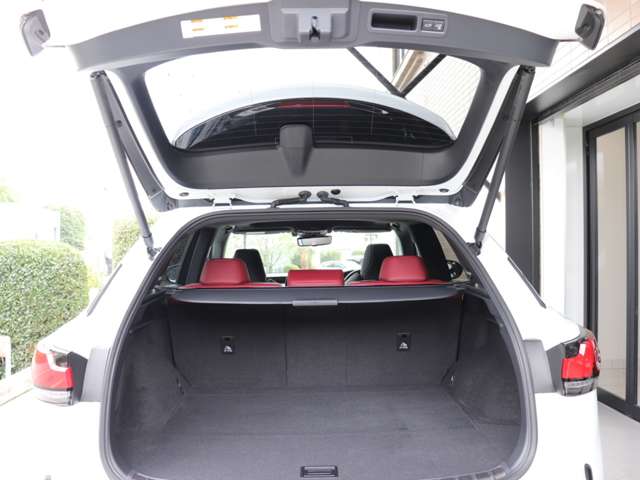 Lexus RX 6