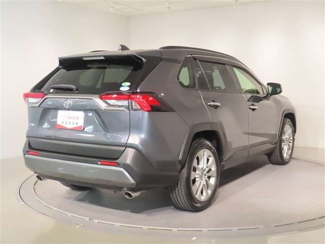 Toyota RAV4 6