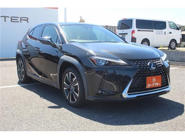 Lexus UX 11