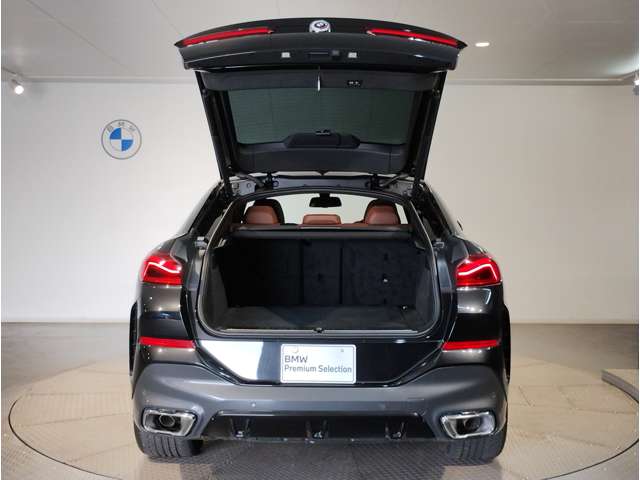 BMW X6 12