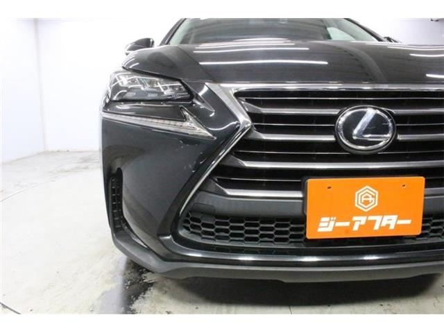 Lexus NX 12