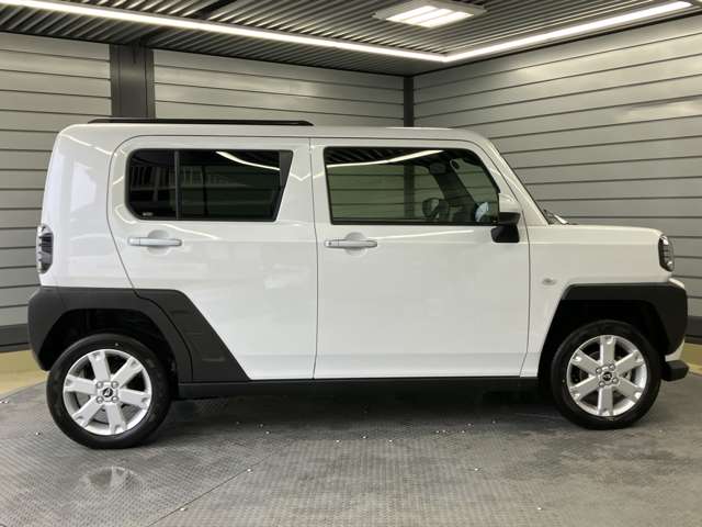 Daihatsu Taft 11