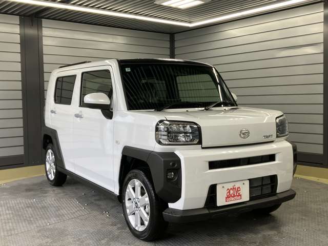Daihatsu Taft 12