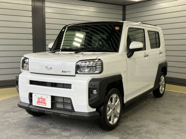Daihatsu Taft 6
