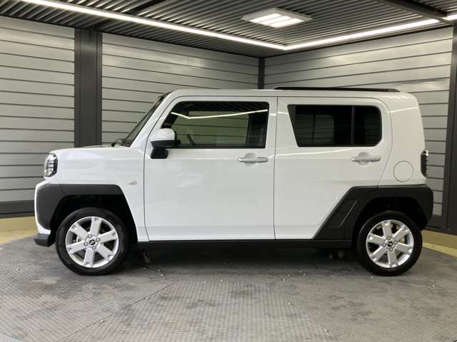 Daihatsu Taft 7