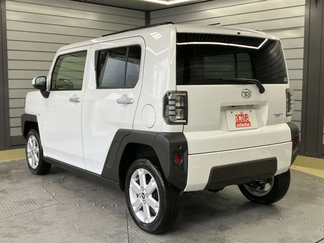 Daihatsu Taft 8
