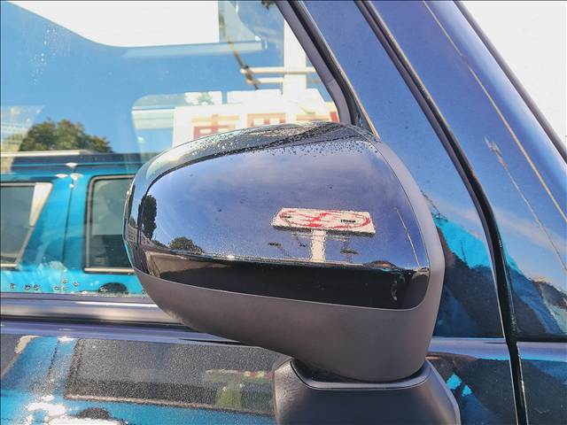 Daihatsu Taft 6