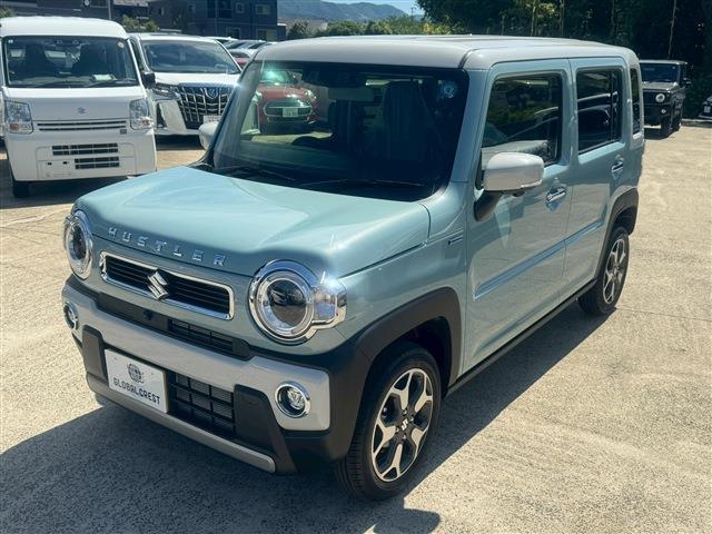 Suzuki Hustler 11