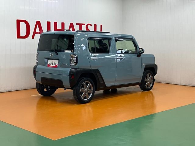 Daihatsu Taft 8