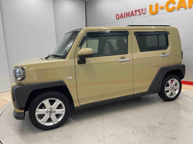 Daihatsu Taft 6
