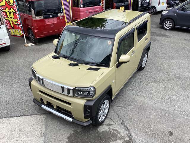 Daihatsu Taft 6
